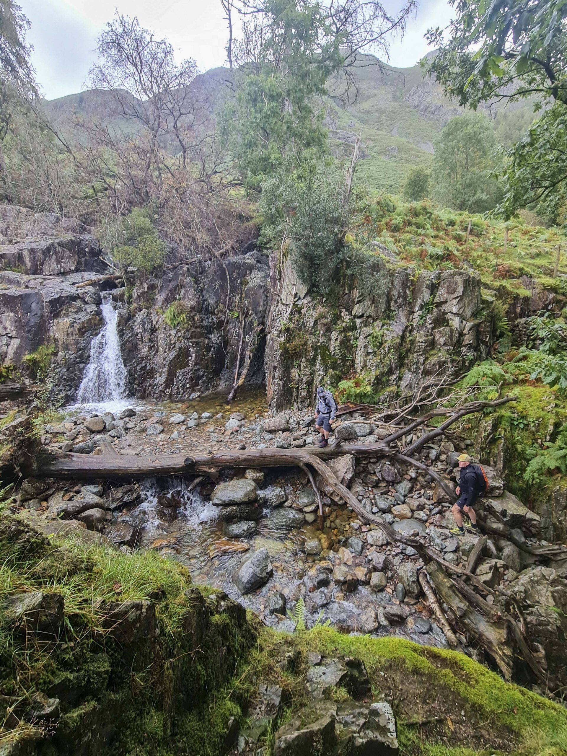 Climbing up the ghyll